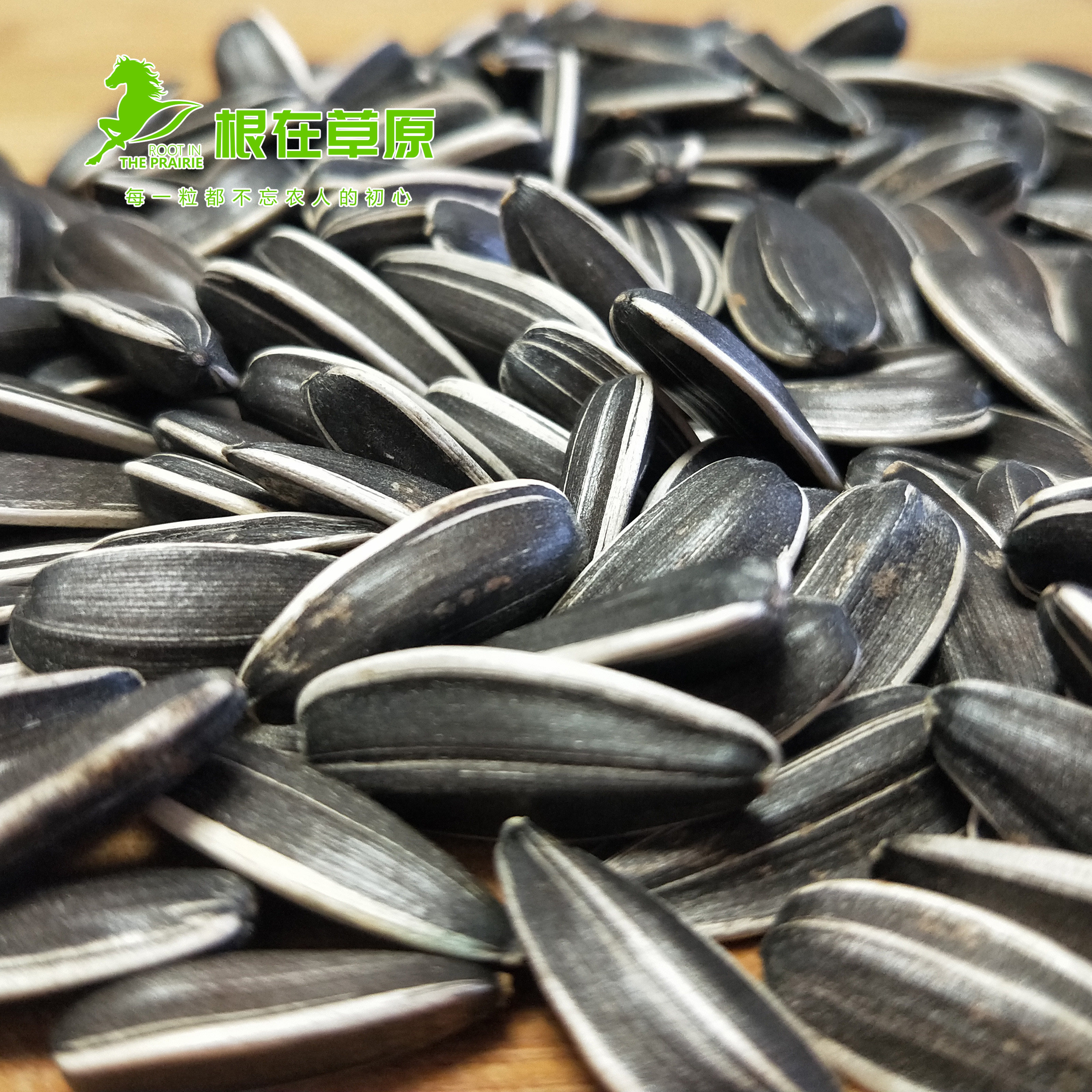 新鲜原味内蒙五原3638生瓜子葵花子新货零食葵花籽不上火大颗粒