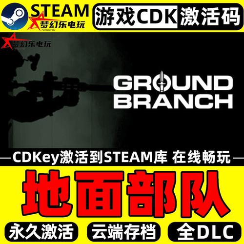 地面部队Steam激活电脑游戏