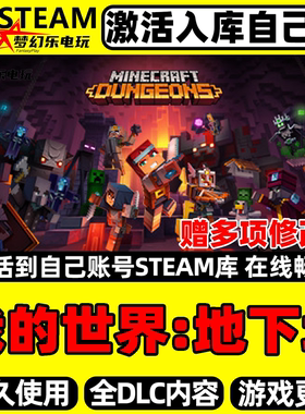 我的世界:地下城 Steam激活自己库里 全球区 全DLC角色扮演PC游戏