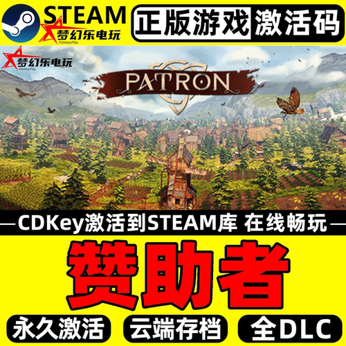 赞助者正版Steam激活码CDKey游戏