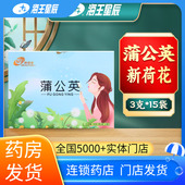 3克 新荷花 蒲公英15袋 盒门店发货海王星辰大药房旗舰店