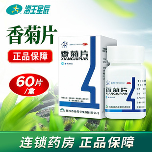 东秦牌 香菊片60片 急慢性鼻炎急慢性鼻窦炎祛风清热通窍鼻炎药品