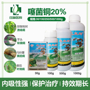 噻菌铜柑橘病害软腐病叶斑病水稻细菌性条斑病杀菌剂