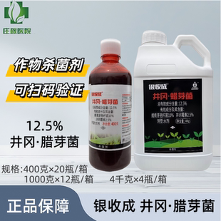 银收成井冈蜡芽菌井冈霉素水稻纹枯病稻曲病草莓根腐病杀菌剂