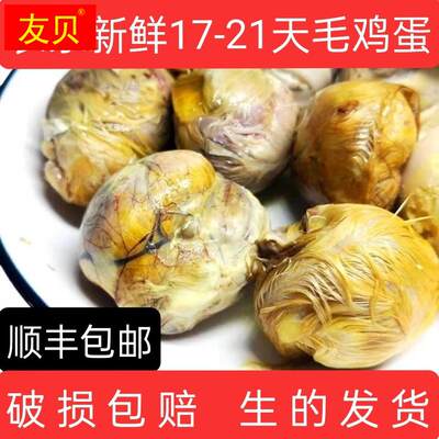 新鲜毛鸡蛋烧烤专用18天21天全鸡半鸡半蛋鸡胚蛋喜蛋毛蛋非活珠子