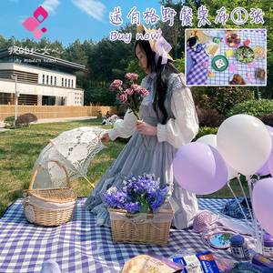 ins风紫白格户外可机洗野餐布加厚折叠便携野餐垫野炊沙滩防潮垫