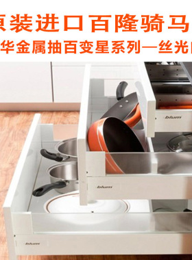 Blum百隆百变星整体橱柜阻尼玻璃骑马抽轨道 丝光白黑色滑道金属
