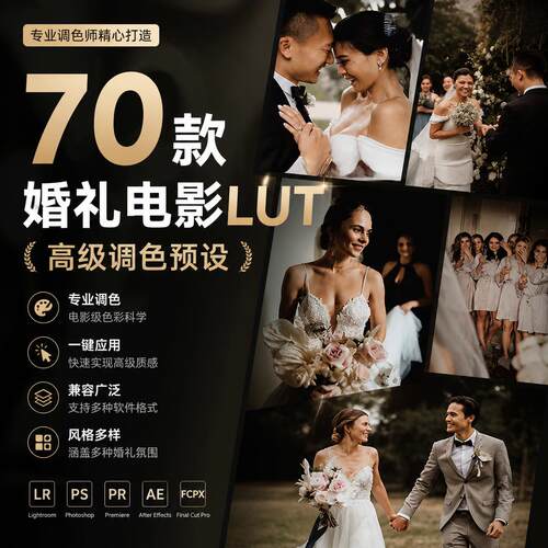 70款婚礼跟拍预设 电影人像纪实LR调色PS滤镜PR达芬奇LUT高级感