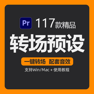 高级Pr转场中文预设视频过渡效果转场插件特效素材模板