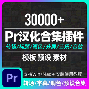 Pr视频剪辑模板预设中文插件转场分屏标题字幕调色特效背景素材