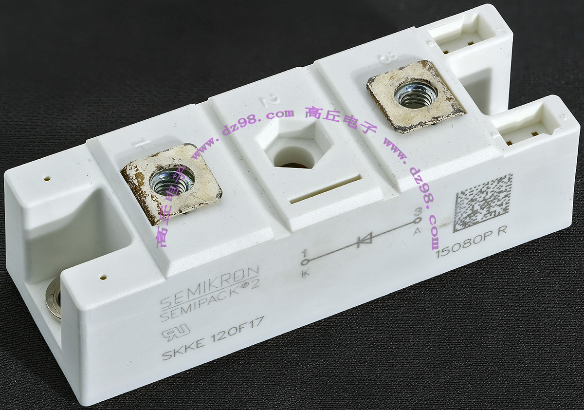 SEMIKRON SEMIPACK 2 SKKE120F17 二极管模块 议价