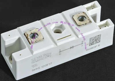 SEMIKRON SEMIPACK 2 SKKE120F17 二极管模块 议价
