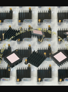 AAVID带铜固定扣30x30x10 10克 附导热垫散热器