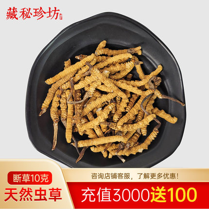 【断草】藏秘珍坊西藏野生冬虫夏草断草头期虫草大断草