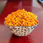 野生中华沙棘小果建平特产酸溜溜沙棘汁原料沙棘酵素1000克 包邮