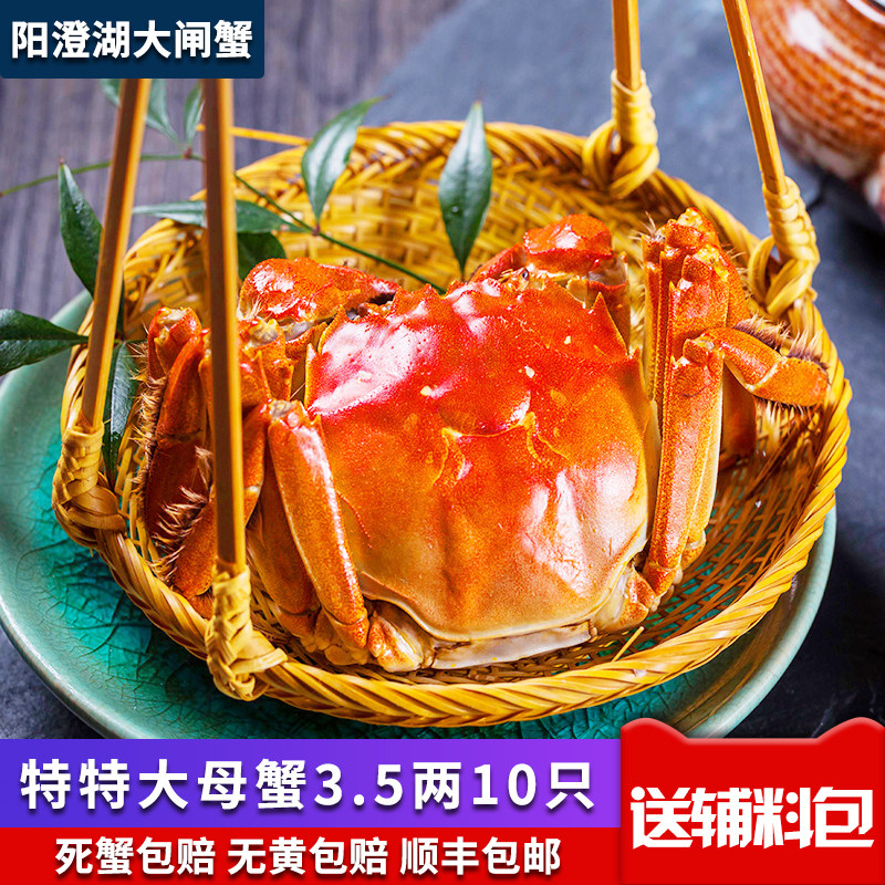 裸重阳澄湖大闸蟹全母螃蟹3.5两10只鲜活礼盒特大水产母蟹礼盒|ruв категории водной мясо/свежие фрукты и овощи/еда, морепродукты/водные продукты/изделия, краб, краб - от Buy2taobao.com для оказания профессиональной услуги покупки агента Taobao