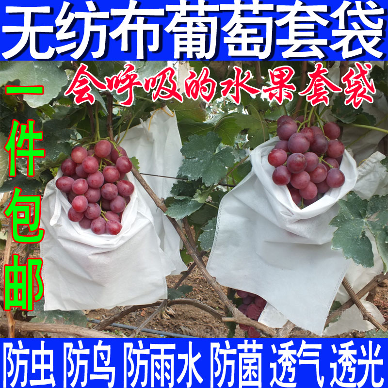 无纺布葡萄套袋水果保护袋柚子桃子梨子枇杷露天防鸟果袋防虫防水