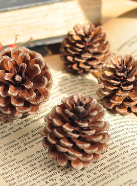 天然果实拍摄道具节日装饰品