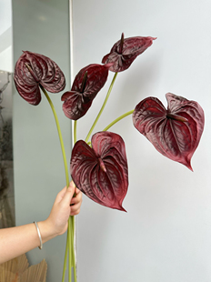 PU大号红掌 打印仿真花插花花材摄影道具家居软装花材直销