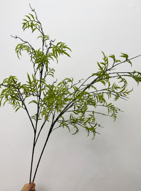 仿真海金沙塑料花绿色植物叶子中式花艺仿真柳枝波斯叶软装花材