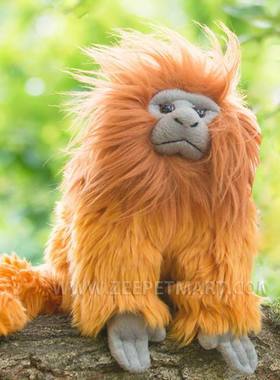 （代购）仿真金狮狨猴golden lion tamarin毛绒玩具公仔