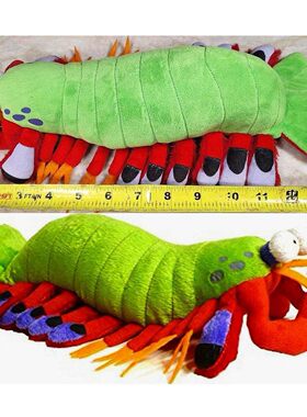 （现货+包邮）仿真孔雀尾螳螂虾皮皮虾mantis shrimp毛绒玩具公仔