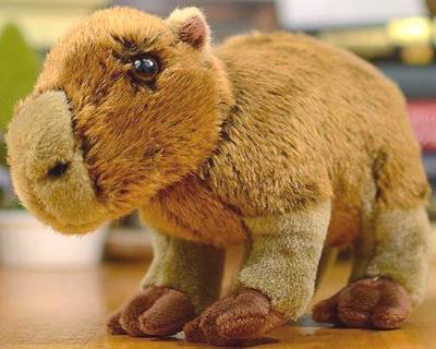 （代购）德国uni-toys仿真水豚capybara毛绒玩具公仔