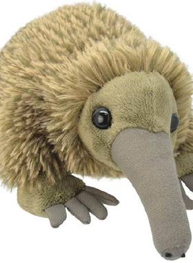（代购）美国wild planet仿真澳大利亚针鼹echidna毛绒玩具公仔
