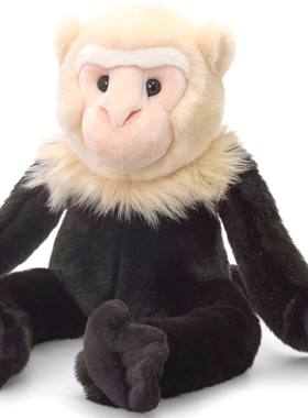 （代购）英国keel toys仿真白头卷尾猴capuchin毛绒玩具公仔