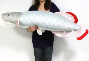 （代购）日本tst advance仿真巨骨舌鱼pirarucu毛绒玩具公仔抱枕