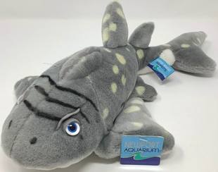 （代购）英国douglas仿真犁头鳐guitarfish毛绒玩具公仔