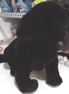 （定做）仿真黑色坐姿拉布拉多犬狗狗labrador毛绒玩具公仔