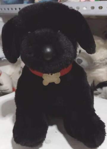 （代购）douglas仿真黑色拉布拉多犬狗狗labrador毛绒玩具公仔