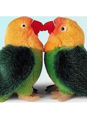 （定做）仿真费氏牡丹鹦鹉fischer's lovebird毛绒玩具公仔