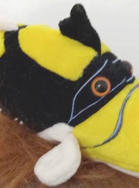 （定做）仿真叉斑锉鳞鲀鸳鸯炮弹triggerfish毛绒玩具公仔