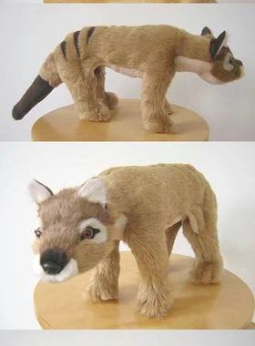 （定做）仿真澳大利亚袋狼thylacine毛绒玩具公仔