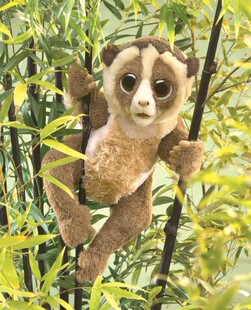 （现货包邮）folkmanis仿真蜂猴懒猴slowloris毛绒玩具公仔手偶