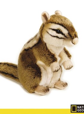 （现货+包邮）美国国家地理仿真花栗鼠chipmunk毛绒玩具公仔