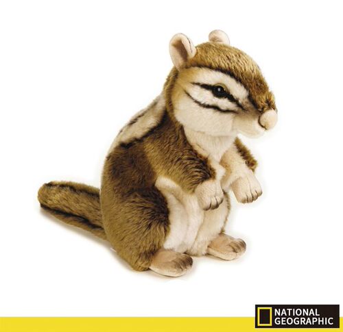 （现货+包邮）美国国家地理仿真花栗鼠chipmunk毛绒玩具公仔