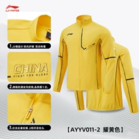 [2025 Новый стиль] AYYV011-2-Торжественный желтый сингл национальный флаг Top_send