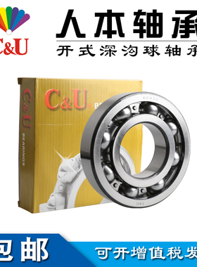 人本电机轴承6321 6322 6324 6326 6328 6330 6332 6334 6338C3Z1