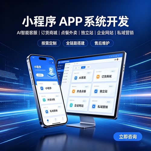 小程序定制VUE/HTML/CSS