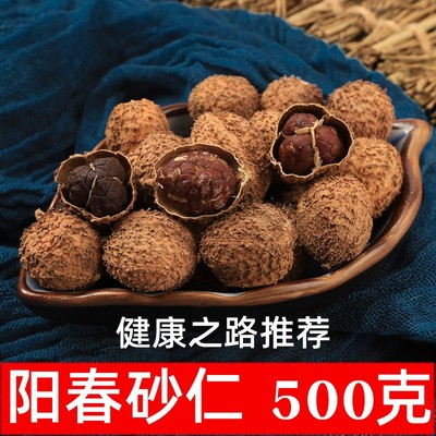 精选春砂仁 野生春砂仁干果阳春特产砂仁煲汤蒸肉入药春沙仁500克