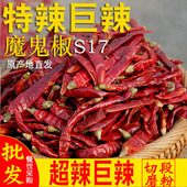 特辣变态辣 精品正宗印度魔鬼椒红干辣椒段节 假一赔十 餐饮专供