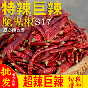 餐饮专供 特辣变态辣 精品正宗印度魔鬼椒红干辣椒段节 假一赔十