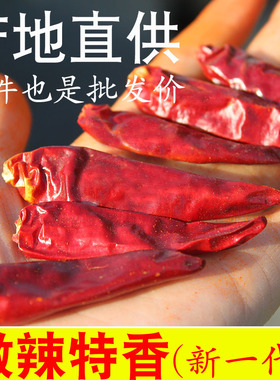 微辣特香红辣椒干 色选河南新一代三樱8号 天鹰朝天小椒 产地直发