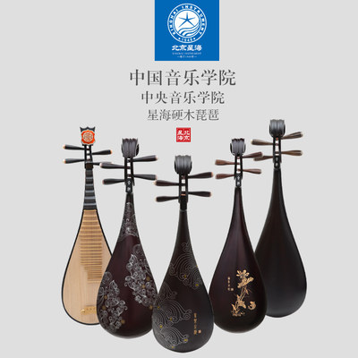 北京星海琵琶897EXY儿童成人考级专业演奏练习琵琶乐器花梨硬木琴