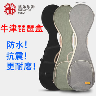 金川琵琶包 便携加厚防水防震儿童成人可选通用琵琶琴包背包套袋