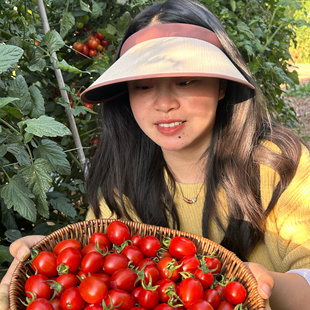 【李丹丹的店】顺丰攀枝花露天樱桃小番茄酸甜爆汁