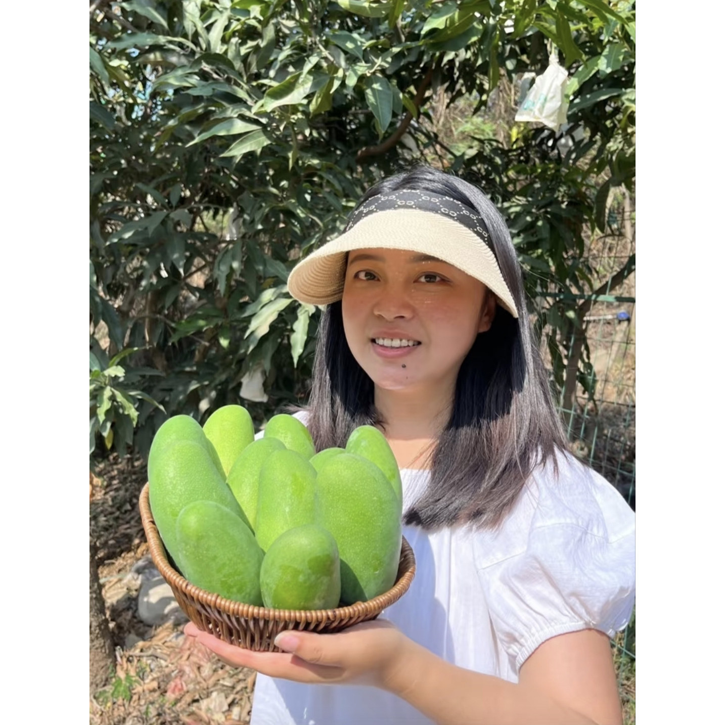 【李丹丹的店】攀枝花当季新鲜芒芒果